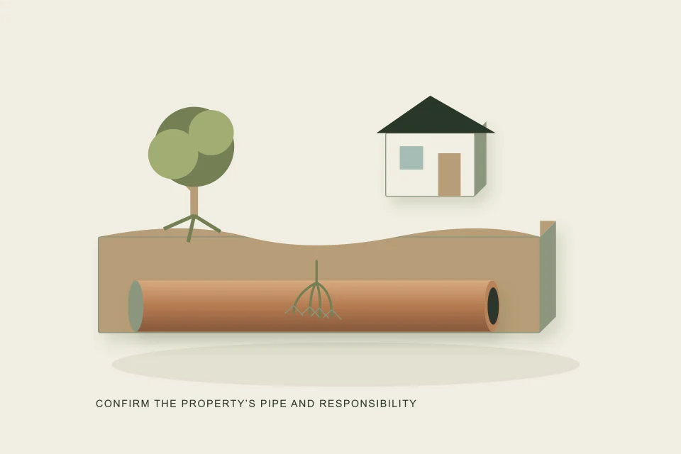 Conceptual illustration of mature tree bungalow snow cover and older sewer joint