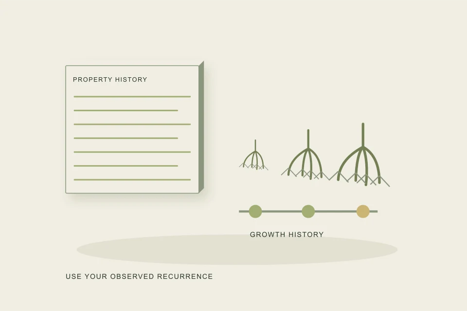 Conceptual illustration of seasonal growth history follows an unrepaired entry