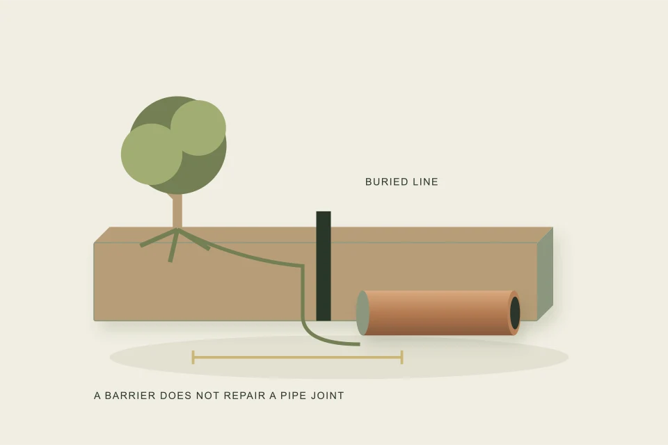 Conceptual illustration of a planting barrier deflects roots beside a sewer trench