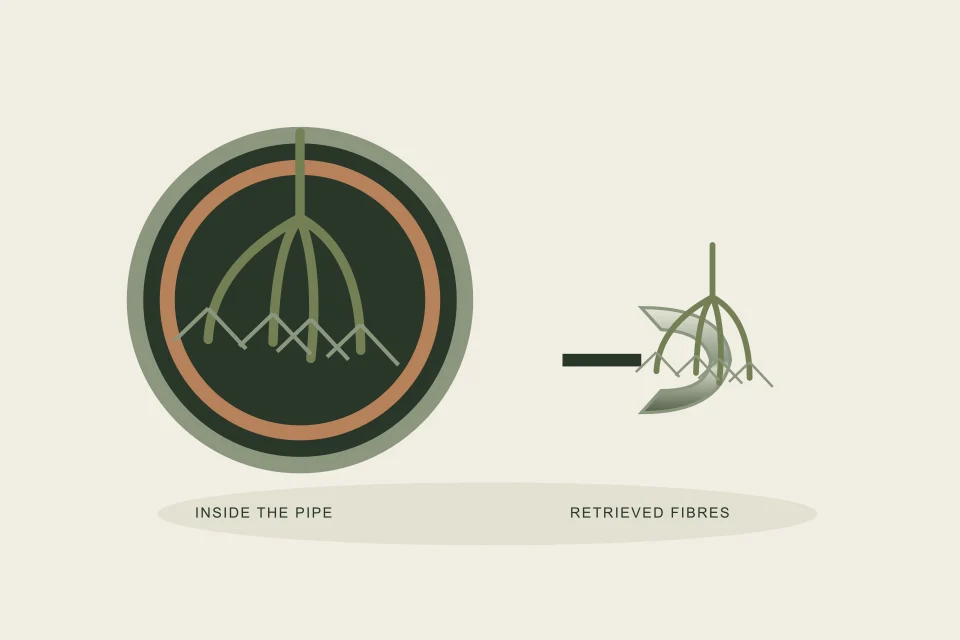 Conceptual illustration of root curtain on a camera view beside retrieved fibres