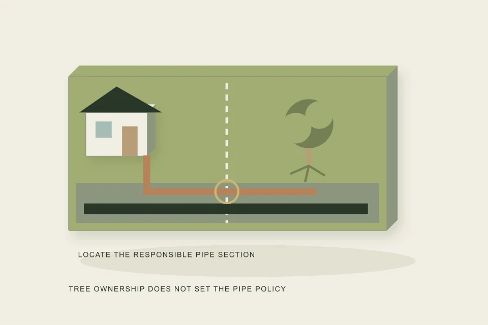 Conceptual illustration of neighbour lots tree ownership and a property boundary